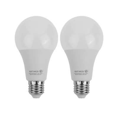 لامپ ال ای دی 15 وات پارت شید مدل Day Light پایه E27 بسته 2 عددی